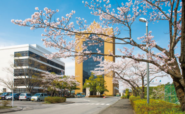 Surugadai Building Green Space